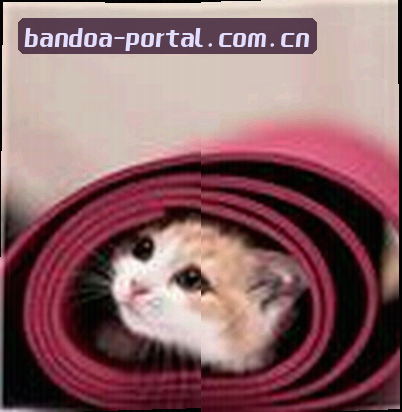 马超